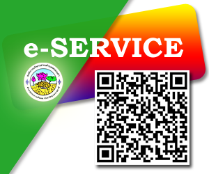 eservice