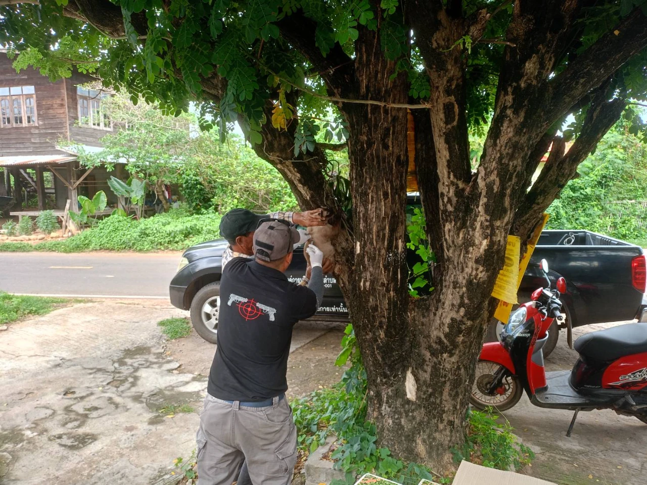 catalogs_file_99_57_32_832097.webp